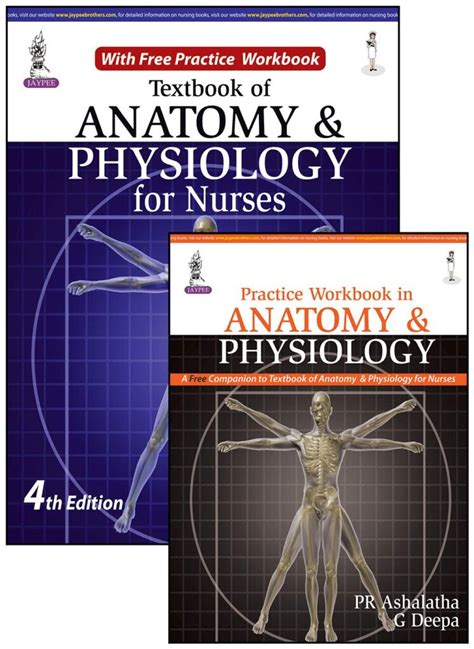 Anatomy And Physiology Book For Bsc Nursing Pdf Pdf Keg