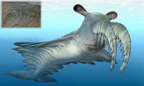 Bizarre Sea Beast Sparked A Prehistoric Arms Race 500million Years
