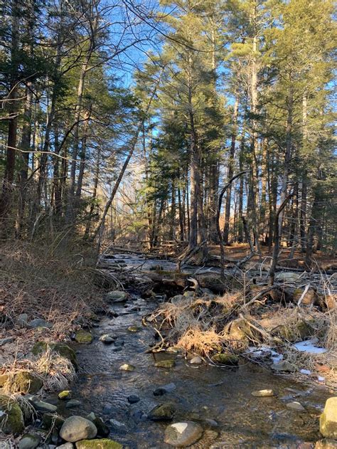 Maybe you would like to learn more about one of these? Curing cabin fever | The River Reporter