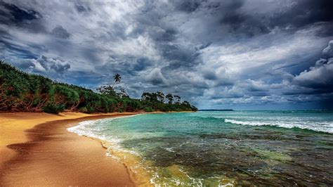 Tropical Coast With Beautiful Beach Wallpaper 2560x1600