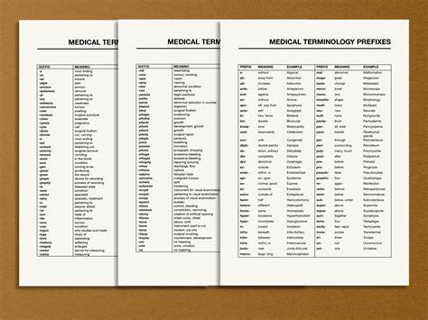 Printable Medical Terminology List Pdf Medical Prefixes And Etsy Sweden