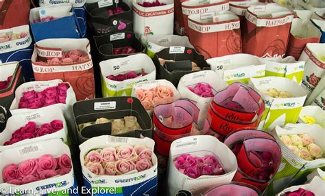 Maybe you would like to learn more about one of these? A Day of Flowers - From the Wholesaler to a Gorgeous ...