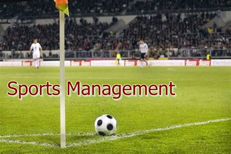 Sports Management As A Career Career Option As A Sports Manager