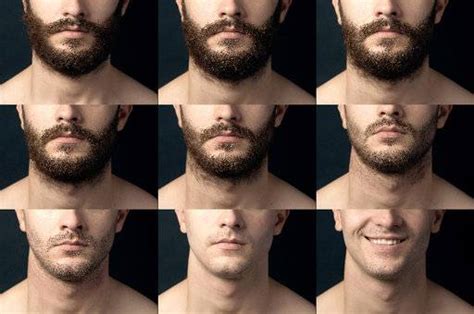 Knowing Your Beard Growth Stages Wild Willies