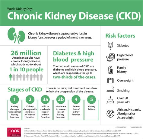 Associated documents • chronic kidney disease flow sheet. To your (kidneys') health | Urology