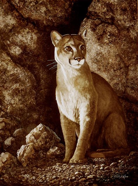 Cougar Wait Until Dark Painting By Frank Wilson Fine Art America