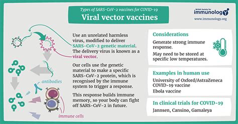 Unc Immunology Expert Discusses Covid 19 Vaccines Debunks Misinformation