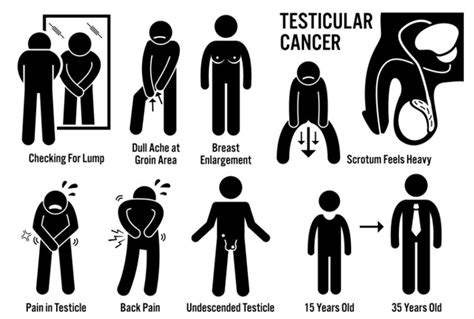 As cancer grows, it increases in size and therefore appears as a lump or swelling of the scrotum. Testicular Cancer Rates are Rising. Do You Know the Early ...