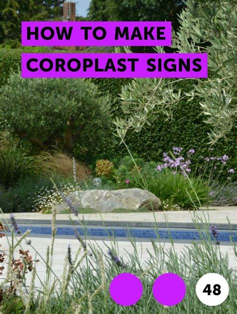 Growing bahia grass from seed. How to Make Coroplast Signs | Centipede grass, Turf ...