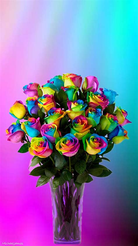 Rainbow Roses Wallpapers Top Free Rainbow Roses Backgrounds Wallpaperaccess