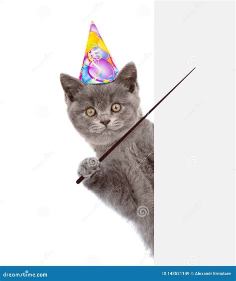 Cat In Birthday Hat Holding A Pointing Stick And Points On Empty Banner