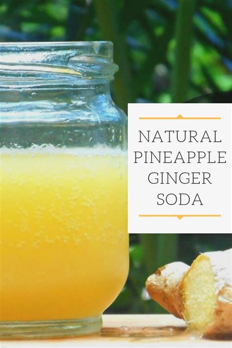 Ginger Bug Soda Pineapple And Ginger Ginger Soda Soda Stream Recipes