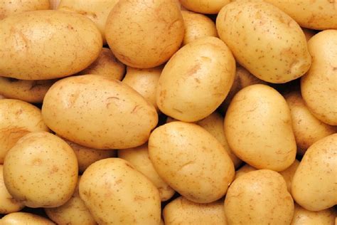 What Is Raw Potato Free Recipes