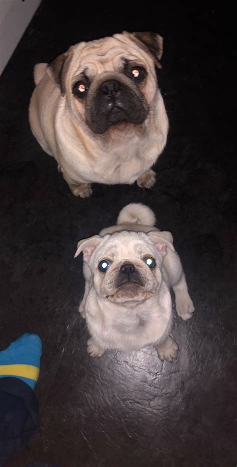 Father And Son Rpugs