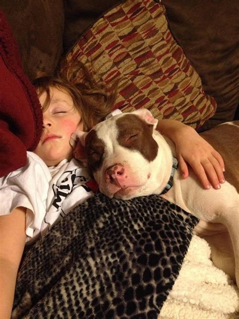 21 Reasons Why Pit Bulls Are The Best Cuddlers In The World Pitbulls