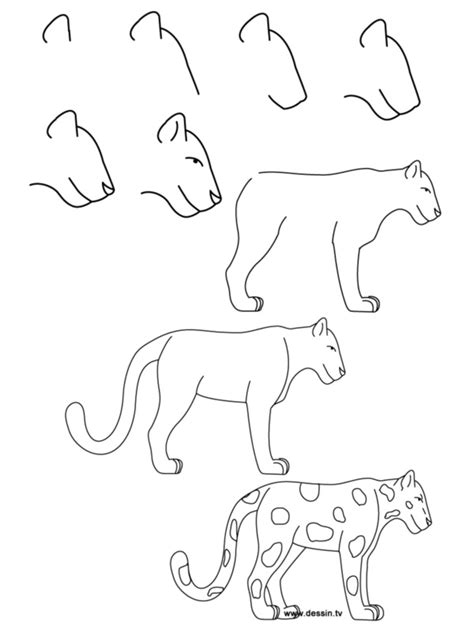 How To Draw Doodle Animals At How To Draw