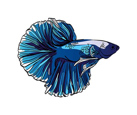 This collection of tropical fish cliparts contains bright and attractive illustrations with a wide range of uses! Aquarium Graphic Resources | The Aquarium Guide