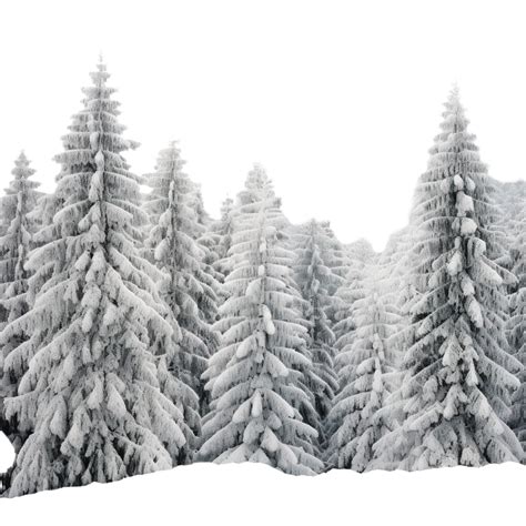 Fantastic Winter Landscape Snow Covered Christmas Trees In Alpine