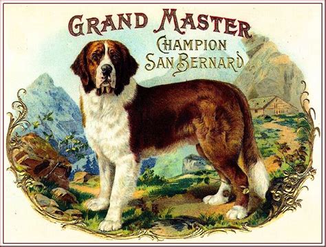 Grand Master Saint Bernard Dog Vintage Tobacco Cigar Box Crate Label