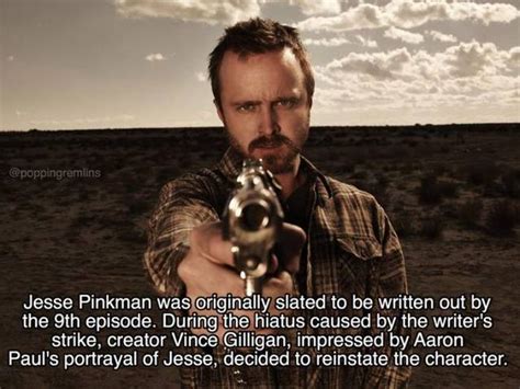 Facts About Breaking Bad 19 Pics
