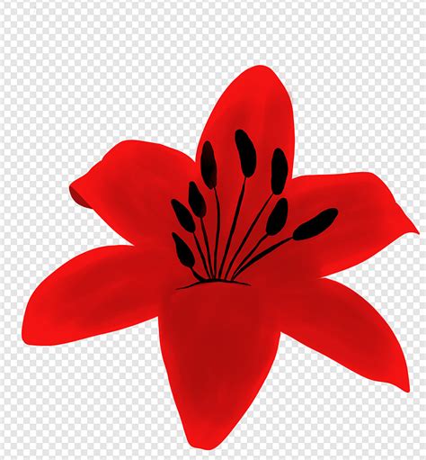Gambar Bunga Bakung Merah Yang Indah Png Download Gratis Gambarpngid