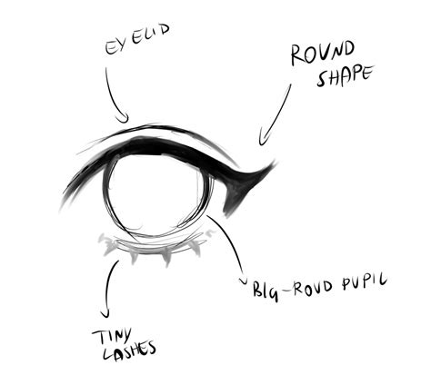 How To Draw Anime Eyes Anime Eye Reference Ideas D E