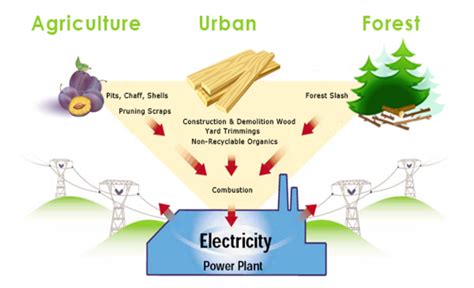 Reasons Why Biomass Energy Should Be A Top Choice Reurasia