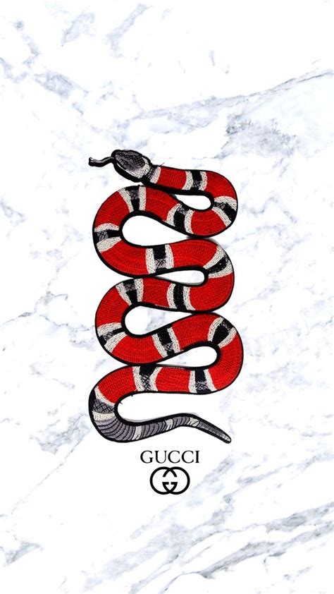Gucci King Wallpapers Wallpaper Cave