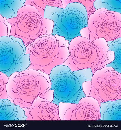 Rosa Bild Pink And Blue Wallpaper Flower