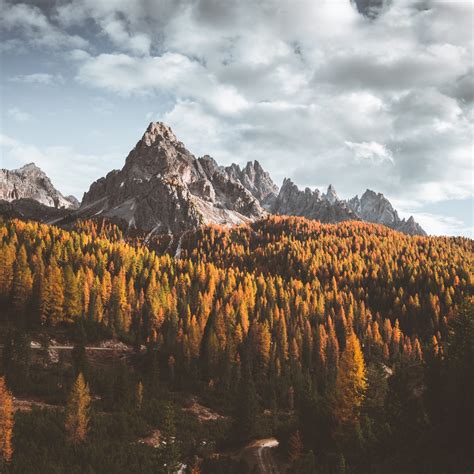 Autumn Mountain Pictures Download Free Images On Unsplash