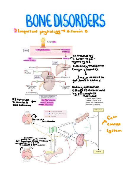 Osteoporosis And Metabolic Bone Disease Bonedisorders