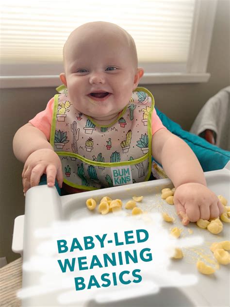 The 60 First Foods And How To Serve Them For Baby Led Weaning