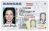 Driver License Record Online Images