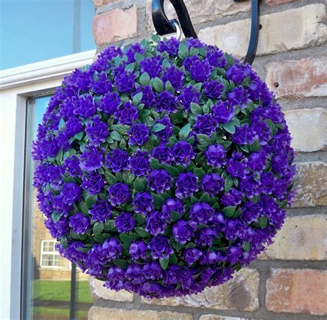 It grows well in hanging baskets and patio containers, so long as it's moved indoors in the cooler months. Best Artificial 28cm Purple Rose Topiary Hanging Flower ...