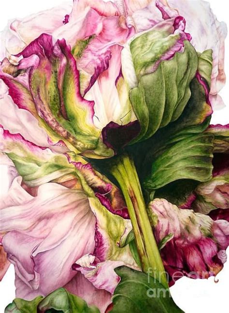 Peony Ii Botanical Watercolour Fine Art Print Flower Print