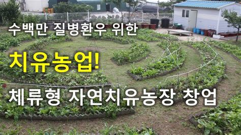 치유농업 체류형 자연치유농장 만들기 1 YouTube