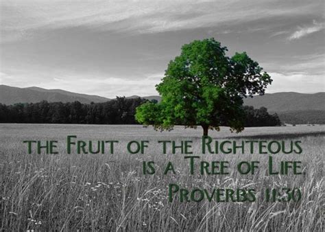 Proverbs 1130 ~ The Fruit Of The Righteous Is A Tree Of Life Life