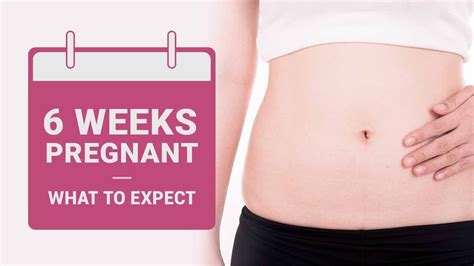 6 Week Pregnant What To Expect Youtube
