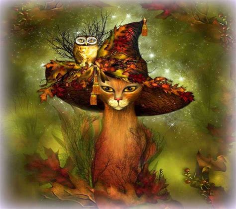 Autumn Cat Wallpaper By Venus F8 Free On Zedge