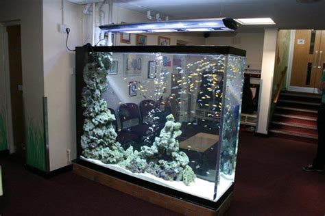 Atau ingin tahu model aquarium air tawar dan cara menghias aquarium murah? ADITYA CUSTOM DISPLAY & CUTTING LASER ACRYLIC BUKA 24 JAM ...