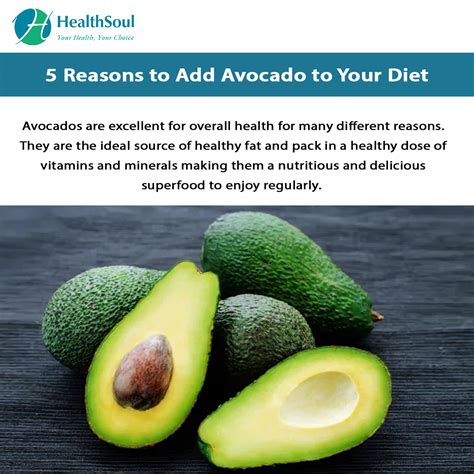 5 Reasons To Add Avocado To Your Diet Healthy Lifestyle Healthsoul