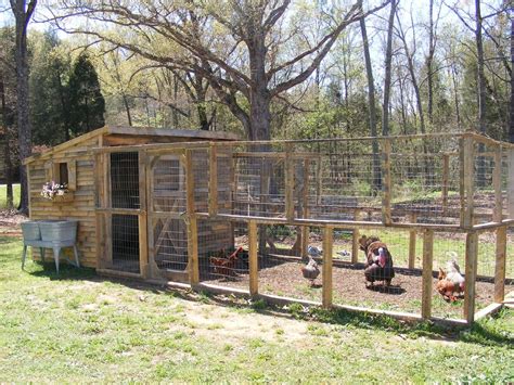 They have taken over our patio space and it has been dr. Chicken coop pallets, Chicken diy, Chicken coop