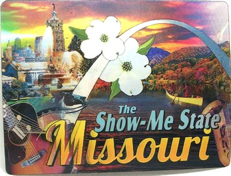 Missouri The Show Me State D Postcard