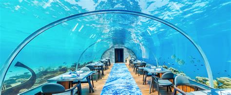 Ferragni E Fedez Alle Maldive Quanto Costa Il 58 Undersea Restaurant