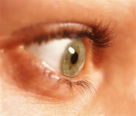 Side View Of A Womans Healthy Green Eye Photograph By David Parker