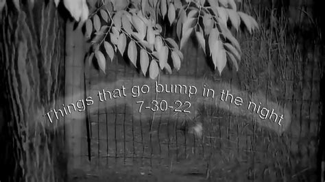 Things That Go Bump In The Night 7 30 22 Youtube