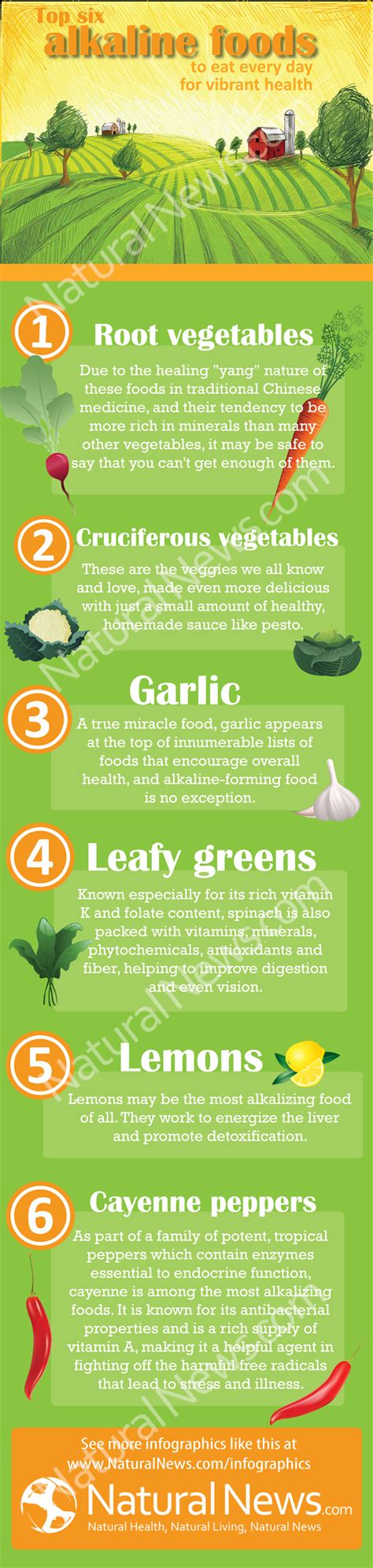 Top Six Alkaline Foods To Eat Every Day For Vibrant Health Infographic Recetas Alcalinas