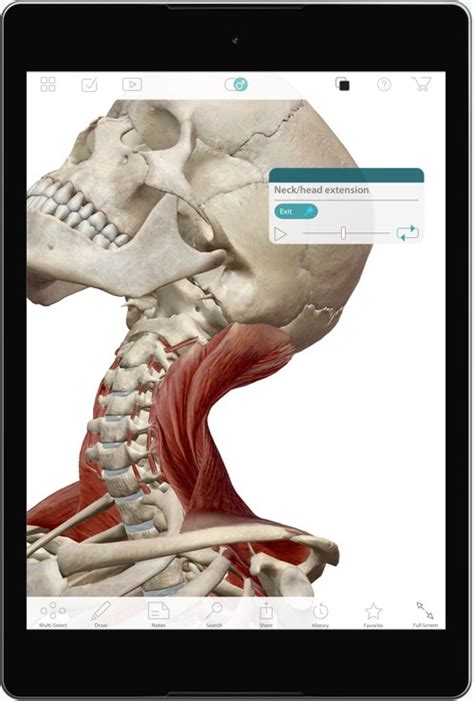 Searching for the best apps for anatomy and physiology students? Visible Body - Browse anatomy, physiology, and pathology apps