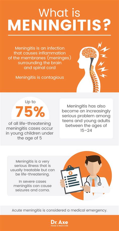 Symptoms Of Bacterial Meningitis In Adults Adult Videos