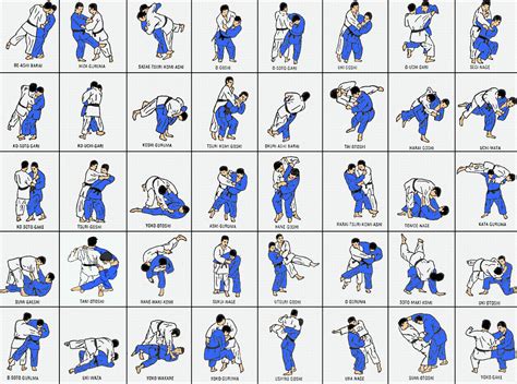 Ippon Judô Técnicas De Artes Marciais Treino De Artes Marciais